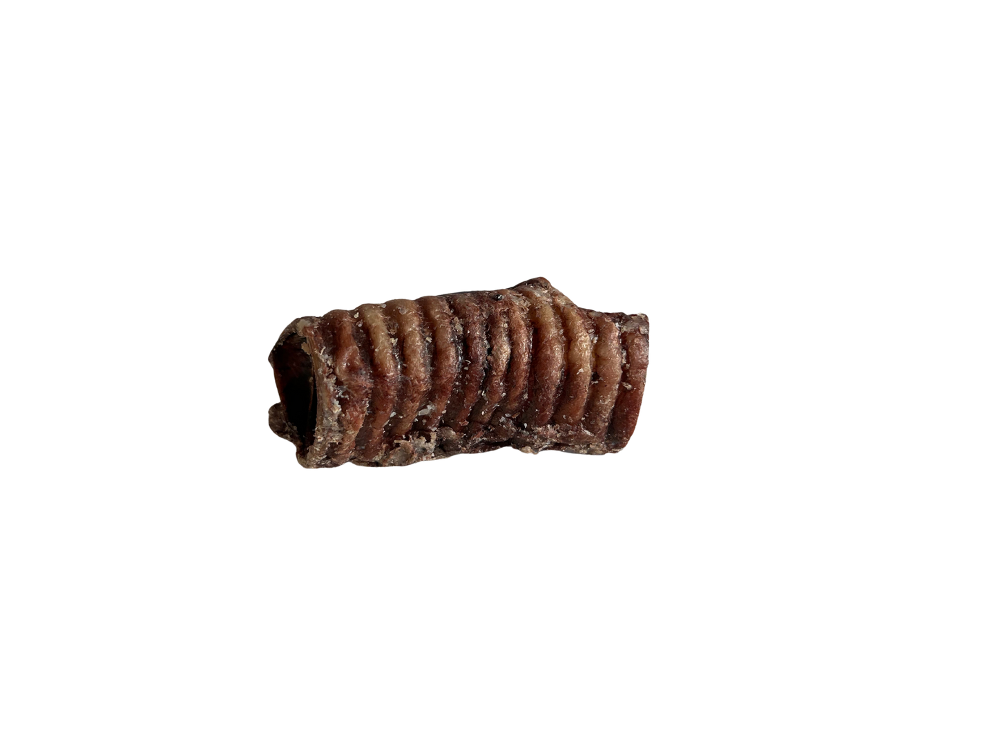 Beef Trachea